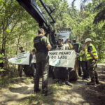 37. Afera córki leśniczego (100aferpis.pl)